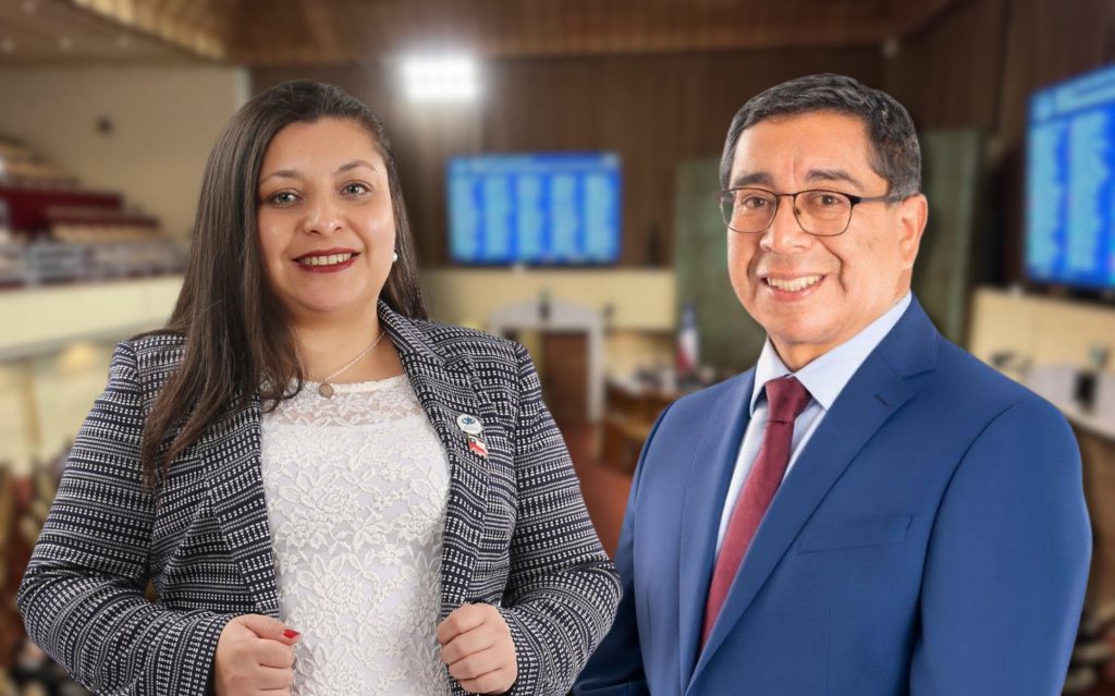 Diputados del PDG exigen a Kast priorizar conectividad rural y alerta SAE