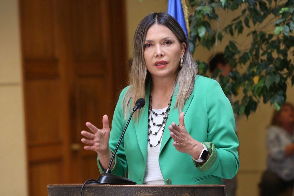 Diputada Pérez denuncia abandono a personas mayores y con discapacidad tras incendios del Biobío