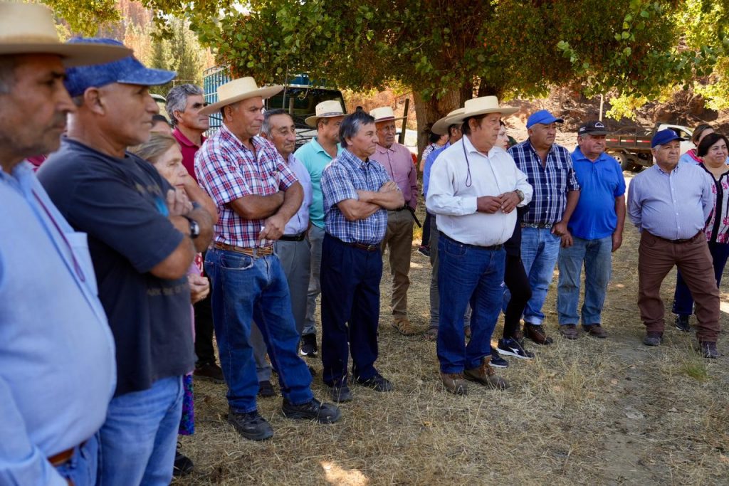 Apoyo agrícola tras incendios en Ñuble: Ministerio de Agricultura beneficia a 373 productores y cierra primera etapa en Trehuaco