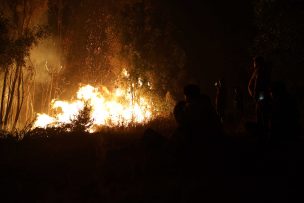 Megaincendio: Contraloría detecta millonarias irregularidades en gestión de recursos públicos en Valparaíso