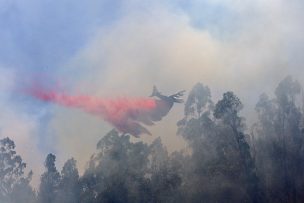 Alerta Botón Rojo: Incendios forestales amenazan casi 100 comunas este sábado
