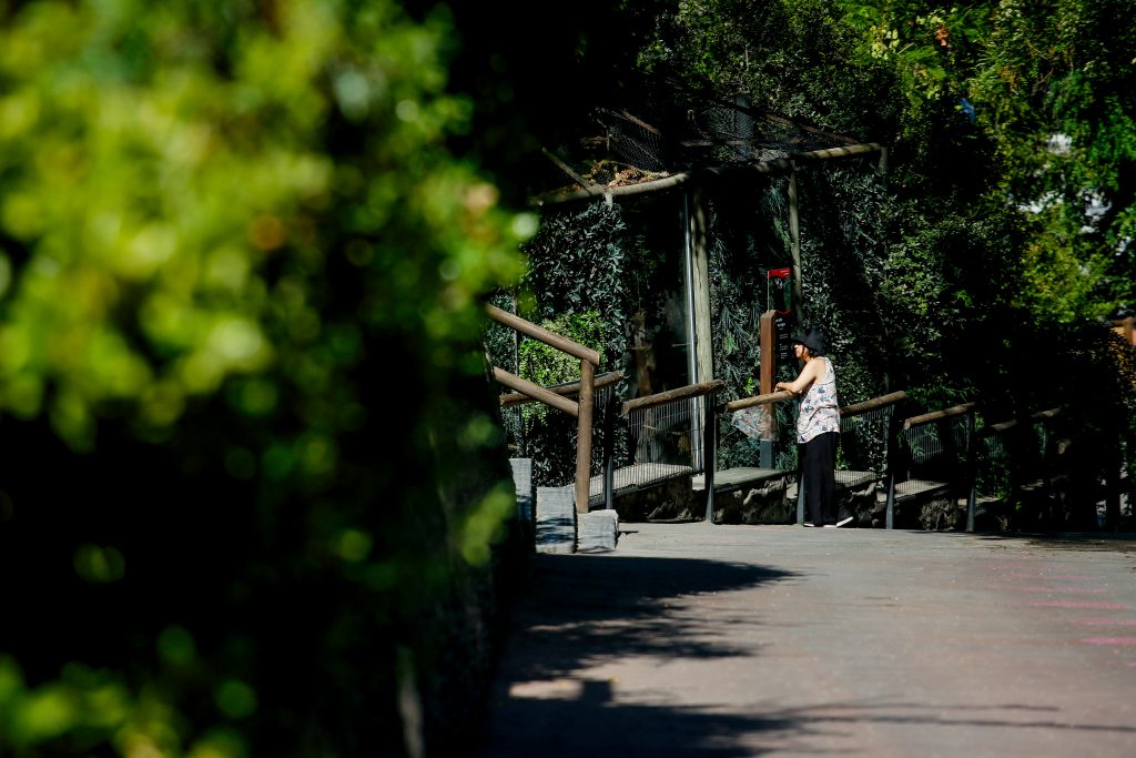 Qué hacer en Santiago estos últimos días de vacaciones: planes para todos los gustos