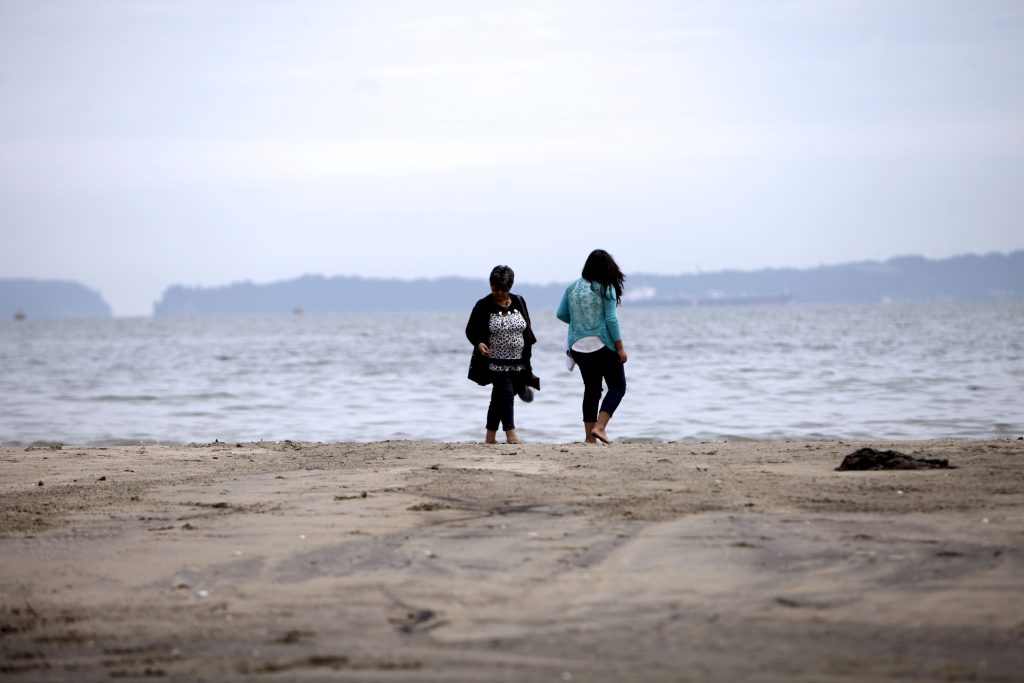 Fragata portuguesa en las costas chilenas: conoce sus peligrosos síntomas tras el contacto