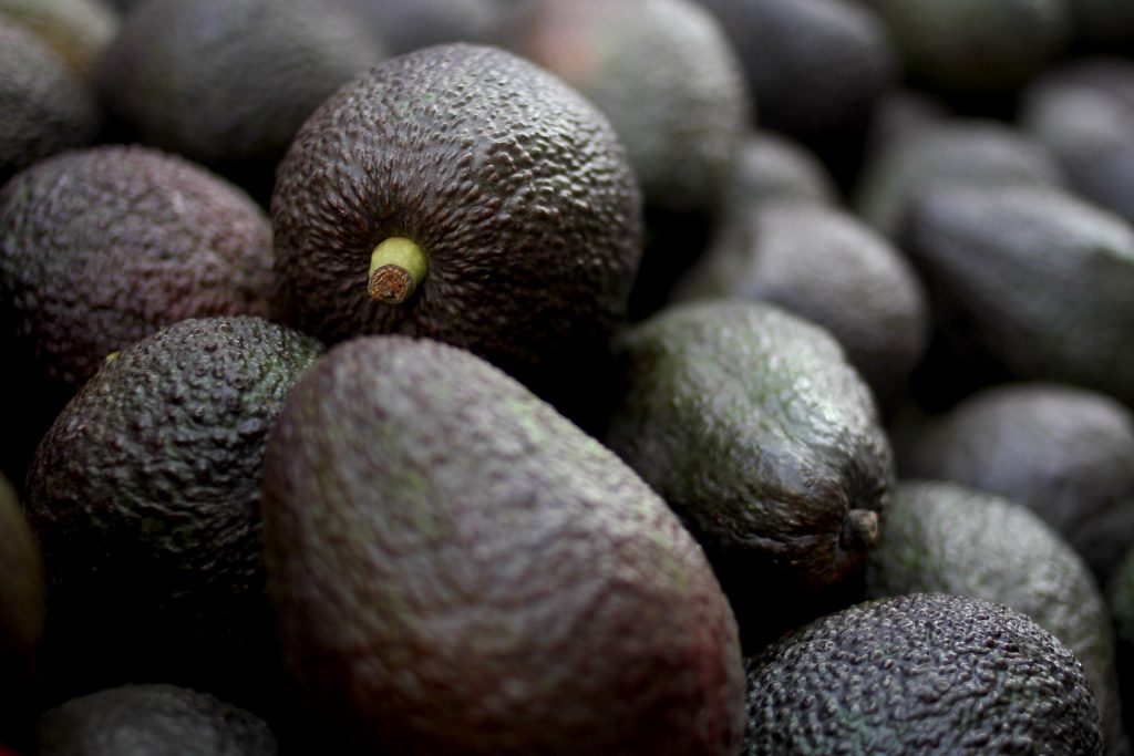 Carabineros recuperó camión robado con 18 toneladas de paltas: hay un detenido