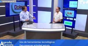 Agenda Agrícola: Especialista explica uso de tecnologías para combatir fraude en producción de mieles
