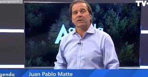Agenda Agrícola: Expertos analizan oportunidades del agro chileno y rol de las abejas en reforestación