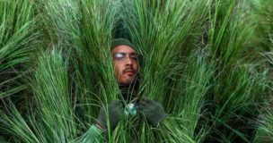 ¿Pagarías esto? Disfraz de “arbusto” del show de Bad Bunny en el Super Bowl se vende por millonaria suma