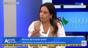 Técnica del insecto estéril: destacan método sustentable para controlar plagas que afectan a la fruticultura chilena