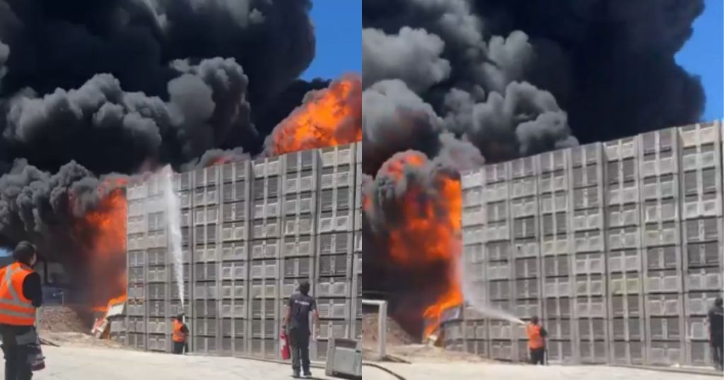 Incendio estructural afecta a planta Verfrut en Las Cabras y obliga a declarar segunda alarma