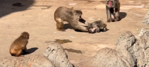 Nuevo capítulo en la historia de 