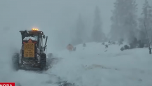 Confirman muerte de ocho de los nueve desaparecidos tras avalancha en EE.UU.
