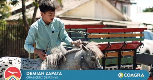 Patrimonios del Mundo: Demian Zapata, el niño criancero de ponis que mantiene viva la tradición rural