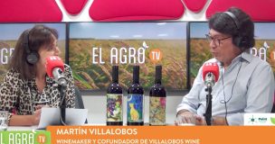 El Agro: Martín Villalobos relata la apuesta de su viña por la producción de vino sin intervención química