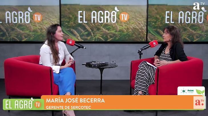 Catastro Nacional de Ferias Libres muestra avances en digitalización, descentralización y sostenibilidad