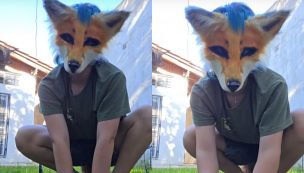 ¿Qué son los therians? El fenómeno que crece en redes y que la IA explica