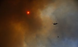 Por amenaza de incendios: Senapred declara alerta temprana en Región de Valparaíso