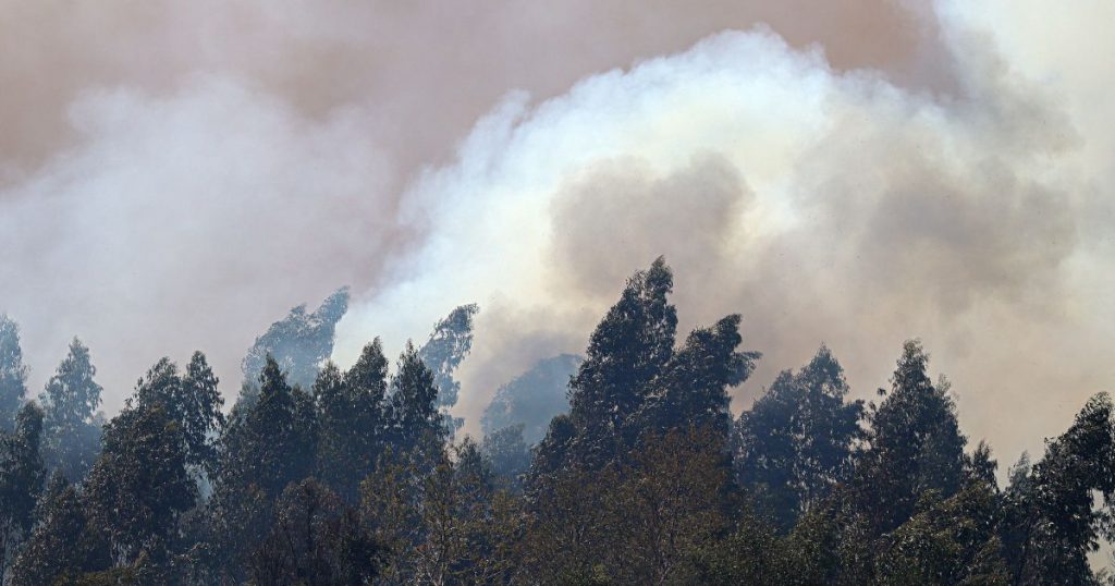 Incendios bajo la lupa: estudio revela cómo afectan la salud y tensionan al sistema sanitario