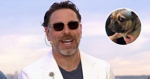 En pleno éxito de Viña 2026: Neme pide oraciones por su perro Frodito que está 'luchando por su vida'