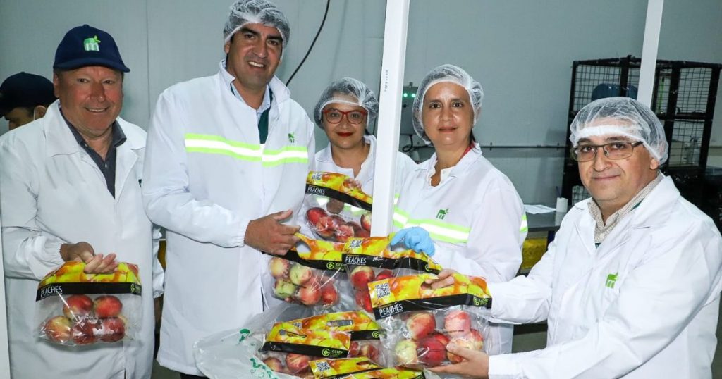 Agenda de Competitividad Agroexportadora Sustentable impulsa récord histórico en exportaciones agrícolas de Chile