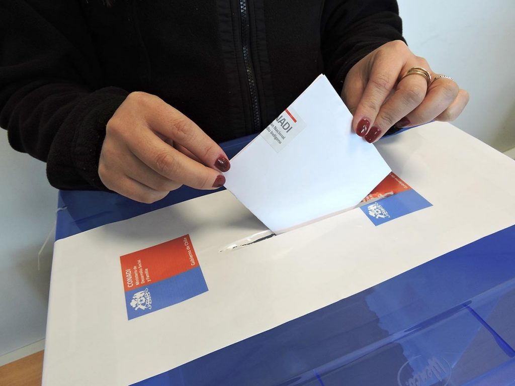 Elección en CONADI: 64 postulantes competirán por 8 cupos para integrar el Consejo Nacional