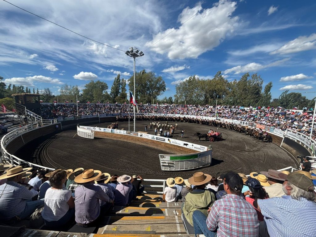 Los Ángeles da el vamos a la fase final del Rodeo Chileno de cara al 77° Campeonato Nacional