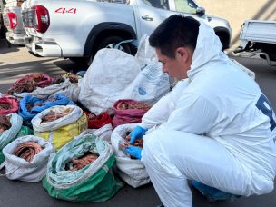 Golpe al robo de cobre: PDI recupera 2.5 toneladas sustraídas de tendido eléctrico, colegios y casas