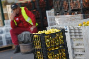 IPC de febrero presentó una variación mensual de 0,0%