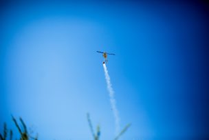 Alerta Roja en San Fernando por incendio forestal cercano a zona industrial