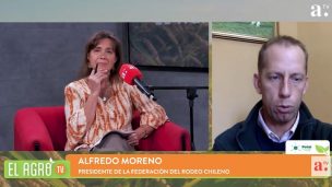 El Agro: Campeonato Nacional de Rodeo 2026 pone foco en chilenidad y tradiciones