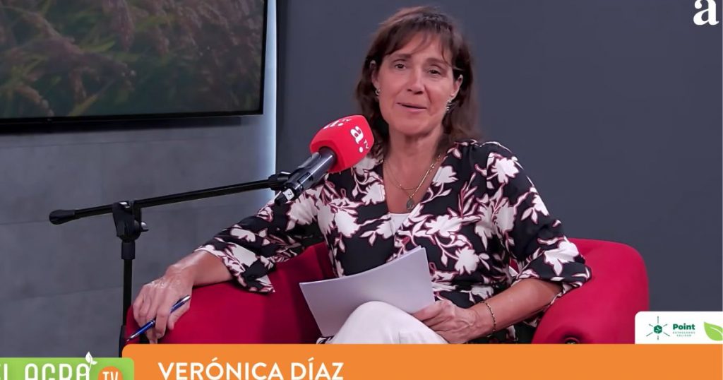El Agro: Ciruelas, paltas, exportaciones y sustentabilidad marcan la pauta del agro chileno
