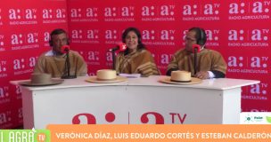 Tradiciones vivas en el Champion de Chile: Jinetes y cuequeros destacan la conexión entre rodeo y chilenidad