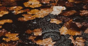 ¿Cuándo empieza el otoño en Chile? La fecha del cambio de estación y lo que debes saber del horario