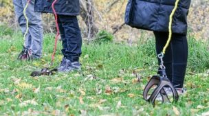 De los Therians al Hobby Dogging: la tendencia de pasear perros imaginarios