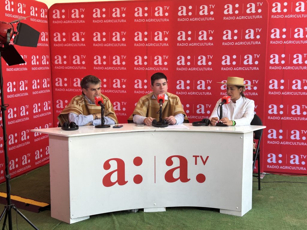 Nuevas Voces: Josefina Easton y la importancia del Champion de Chile: 