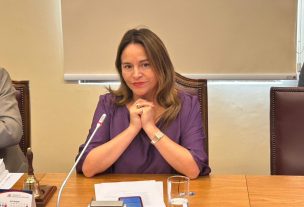 Diputada Joanna Pérez asume presidencia de Gobierno Interior