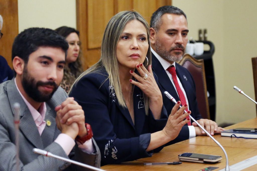 “No solo la RM”: Diputada Pérez exige destinar fondos de Ley Espejo al transporte regional