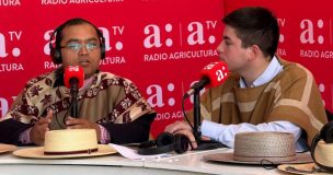 Concejal Esteban Calderón respalda el rodeo en el Champion de Chile 2026: “Es una forma de vida”