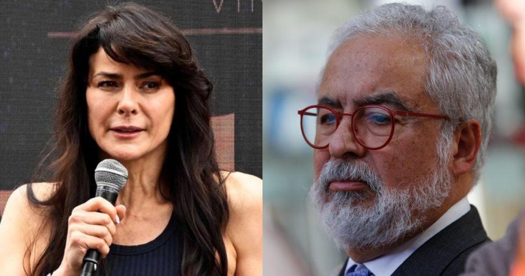 Tonka Tomicic en el ojo del huracán: le transfirió $40 millones a Luis Hermosilla sin factura, revela peritaje del SII