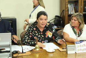 Conflicto en Medio Oriente: Diputada advierte que 