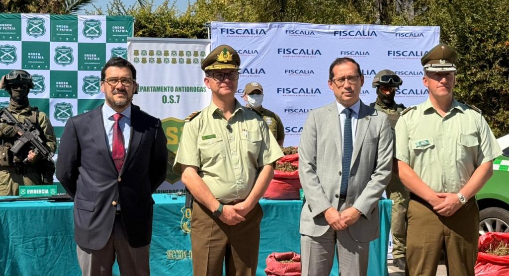 Histórico decomiso en Rengo: incautan 37 mil plantas de marihuana avaluadas en $170 mil millones