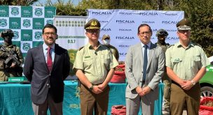 Histórico decomiso en Rengo: incautan 37 mil plantas de marihuana avaluadas en $170 mil millones