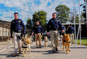 Admisión PDI 2027: abren proceso para formar nuevos agentes policiales