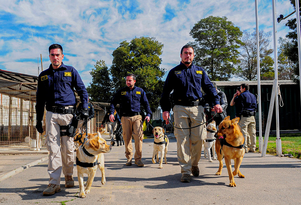 Admisión PDI 2027: abren proceso para formar nuevos agentes policiales