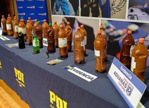 Operativo PDI termina con 5 detenidos y 58 kilos de ayahuasca incautados