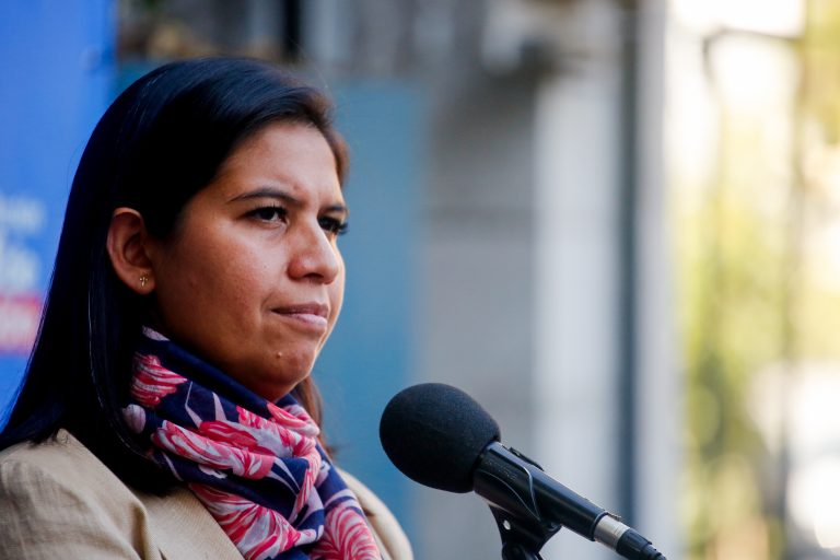 Reforma de Seguridad: Presidenta de RN llama a la oposición a que 