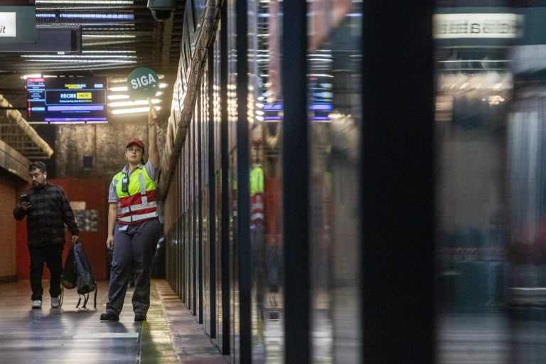 Corte de corriente afecta a Línea 2 del Metro de Santiago por rescate de perro en las vías