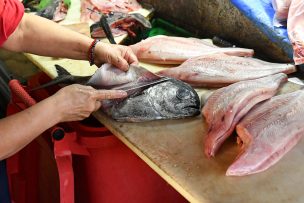 Intoxicaciones por mariscos aumentan en Semana Santa: especialistas llaman a reforzar cuidados