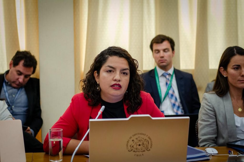 Diputada Becerra pide llevar a Schneider a Comisión de Ética por “amedrentamiento”