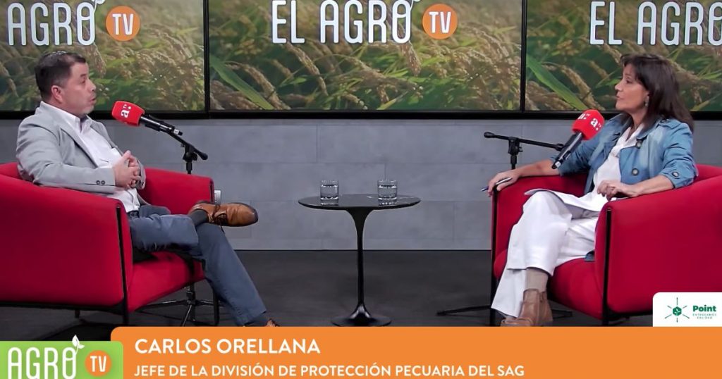 El Agro | Experto advierte por brotes y nuevas cepas de Influenza Aviar en Chile: 