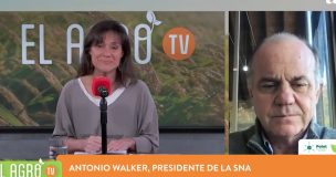 Antonio Walker y visión del Plan de Reconstrucción: 